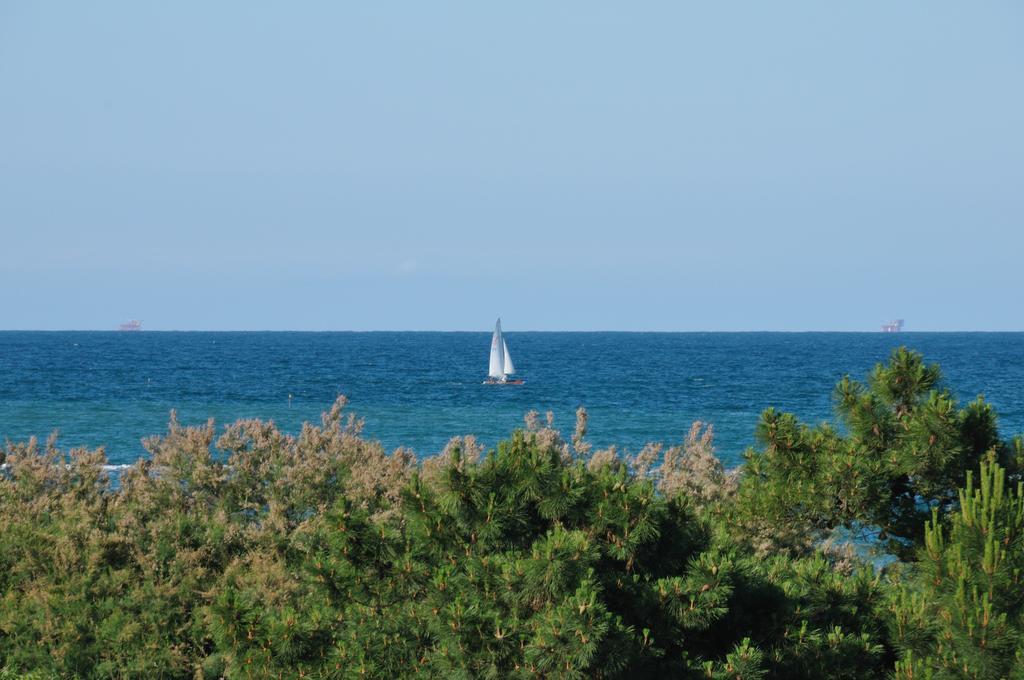 Hotel-Residence-B&B Le Dune Lido Adriano Rum bild